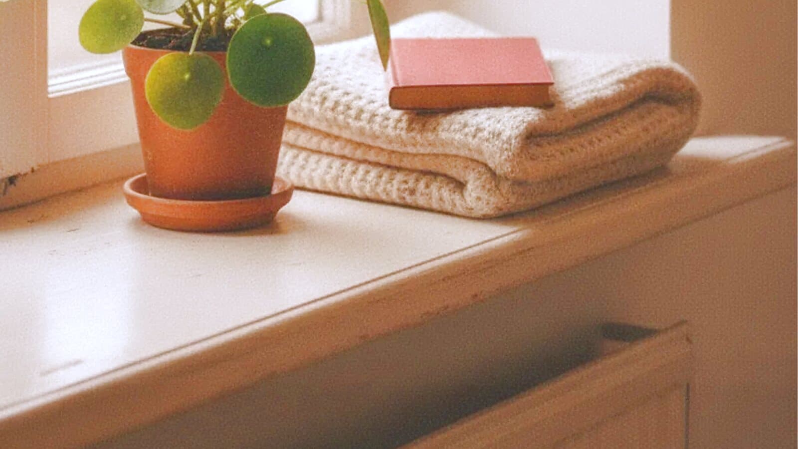 Fensterbank einer Altbauwohnung mit Topfpflanze, Decke und Buch im Tageslicht